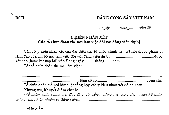 Mẫu ý kiến nhận xét đảng viên dự bị của tổ chức đoàn thể nơi làm việc