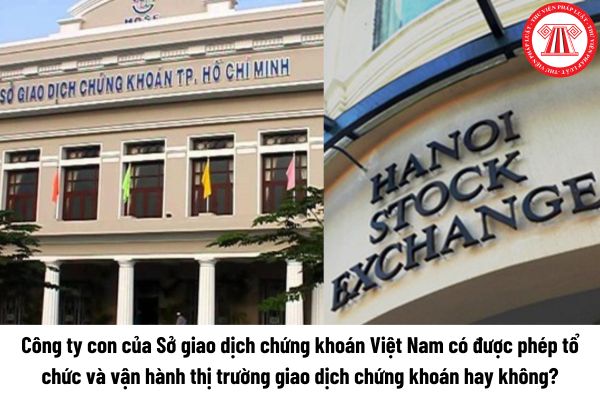 Công ty con của Sở giao dịch chứng khoán Việt Nam có được phép tổ chức và vận hành thị trường giao dịch chứng khoán hay không? 