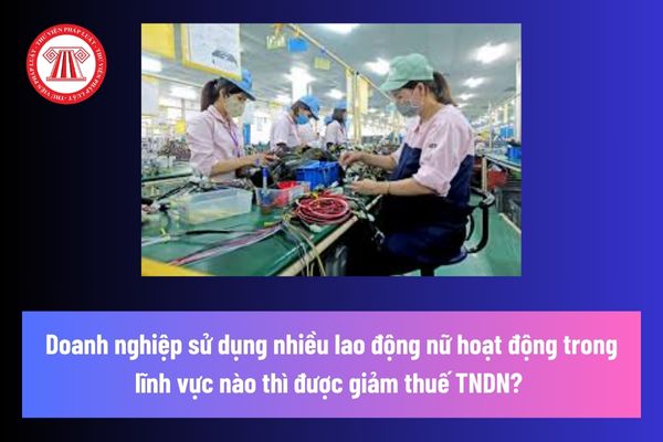 Doanh nghiệp sử dụng nhiều lao động nữ là gì? Doanh nghiệp sử dụng nhiều lao động nữ hoạt động trong lĩnh vực nào thì được giảm thuế TNDN? 