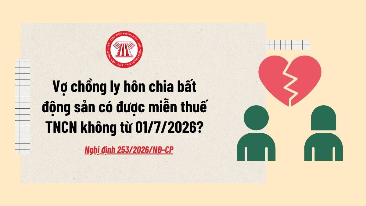 Pháp luật