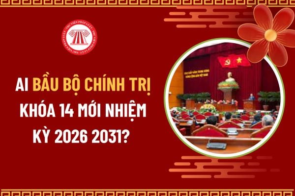Pháp luật