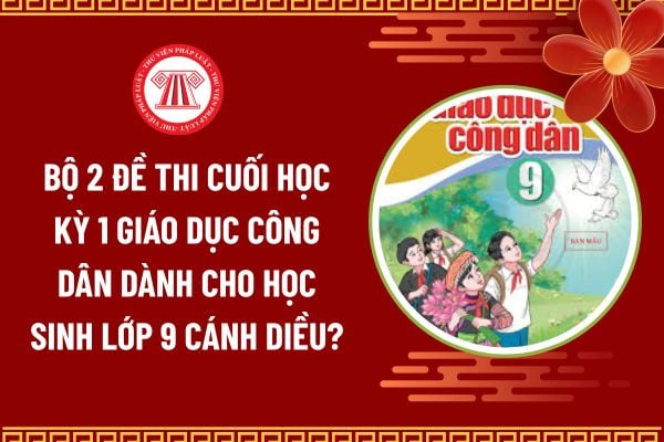 Pháp luật