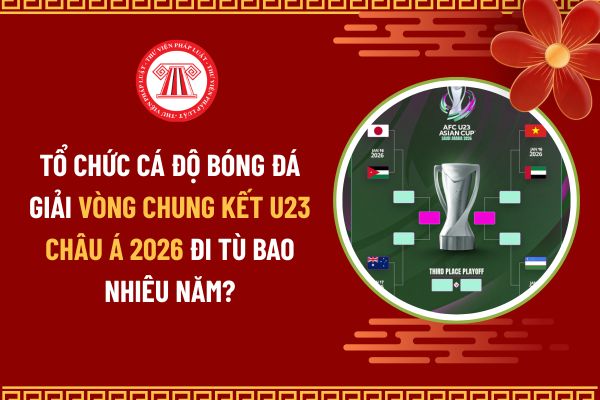 Pháp luật