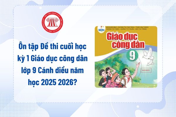Pháp luật