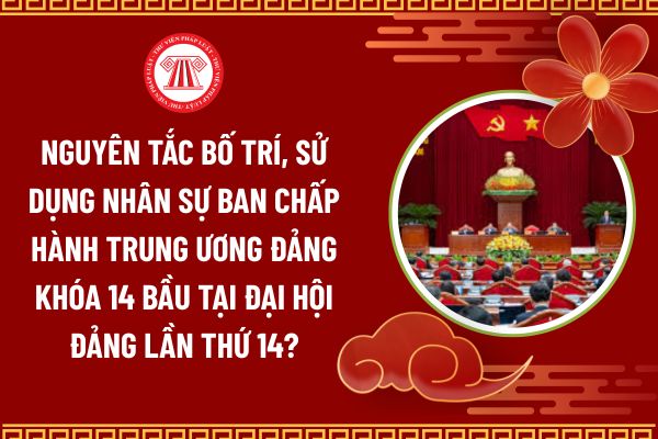 Pháp luật