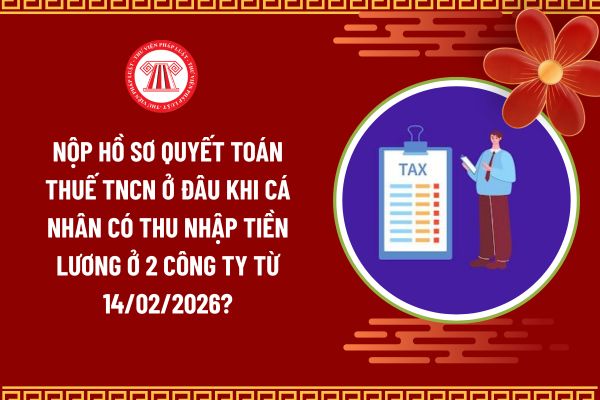 Pháp luật