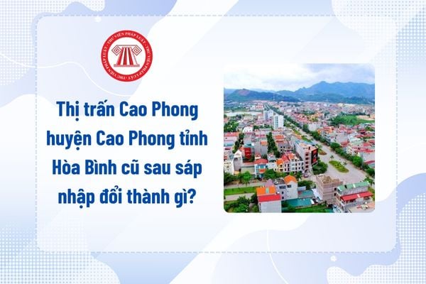 Pháp luật