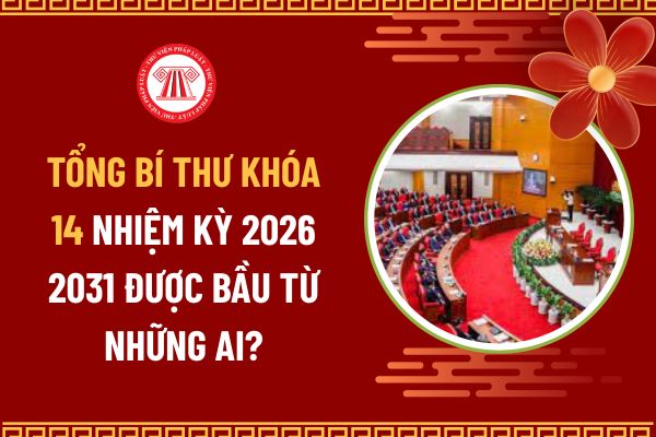Pháp luật