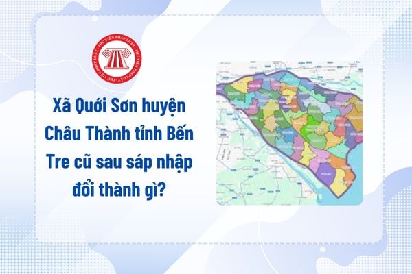 Pháp luật