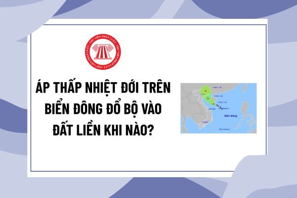 Pháp luật