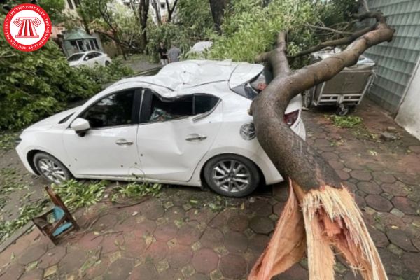 Có được gia hạn thời gian nộp hồ sơ khai thuế đối với người nộp thuế gặp tai nạn bất ngờ hay không?