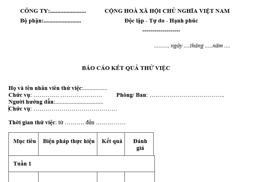 báo cáo thử việc