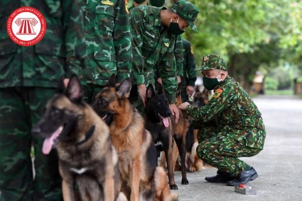 Ban quản lý rừng đặc dụng có được sử dụng động vật nghiệp vụ không? Có được trang bị bình xịt hơi cay không?