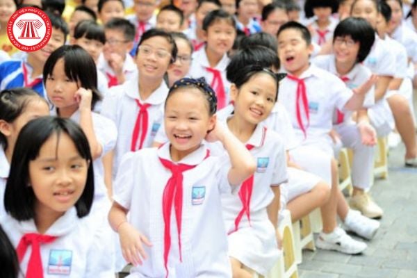 Mẫu thông báo nghỉ Tết Nguyên đán giành cho học sinh tiểu học? Học sinh tiểu học học ở độ tuổi cao hơn tuổi quy định khi nào?