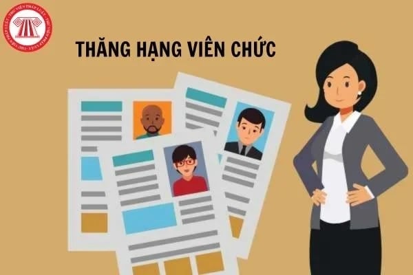 Tiêu chuẩn xét thăng hạng chức danh nghề nghiệp công nghệ thông tin hạng ba lên hạng hai như thế nào?