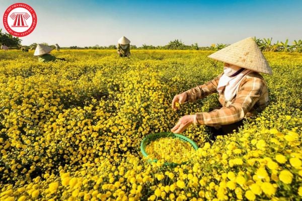 Mẫu đơn đăng ký nhu cầu hỗ trợ hoạt động trong lĩnh vực nông nghiệp của hợp tác xã mới nhất là mẫu nào?