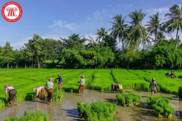 Hợp tác xã có phải đối tượng được Nhà nước hỗ trợ hoạt động trong lĩnh vực nông nghiệp hay không?