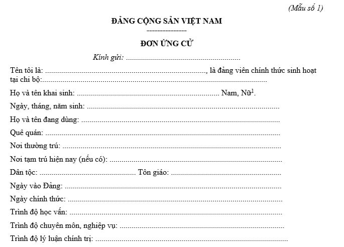 đơn ứng cử tại đại hội đảng bộ