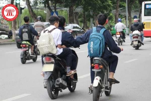 Pháp luật