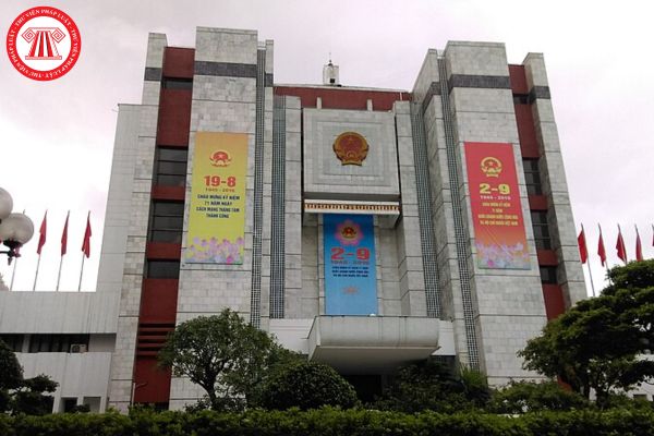 Pháp luật