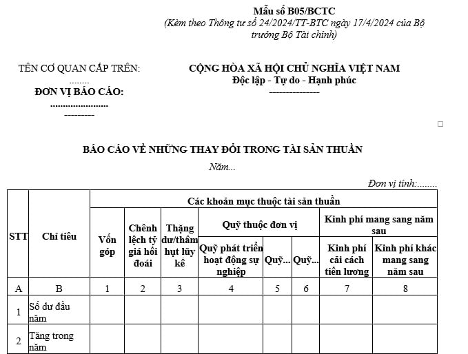 mẫu báo cáo tài chính về những thay đổi trong tài sản thuần