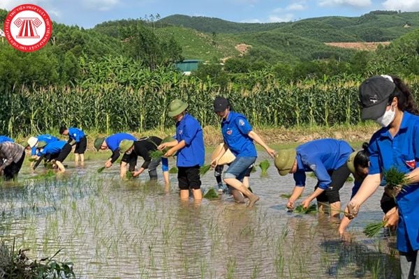 Đôi viên thanh niên xung phong có thể được tạm hoãn hoặc miễn gọi nhập ngũ khi nào theo Nghị định 17?