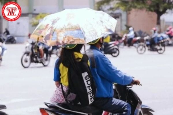 Pháp luật