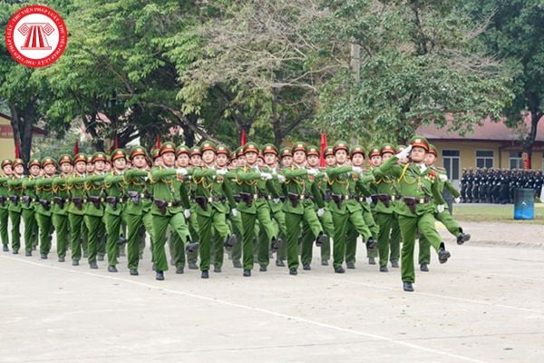 Pháp luật
