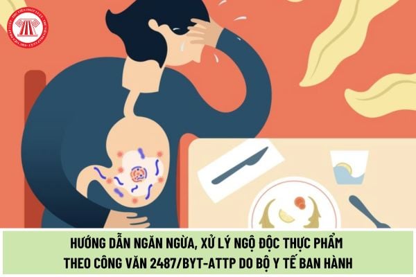 Bộ Y tế chỉ đạo ngăn ngừa, xử lý ngộ độc thực phẩm theo Công văn 2487/BYT-ATTP 2024 như thế nào?