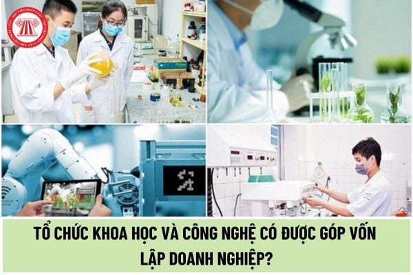 Tổ chức khoa học và công nghệ có được góp vốn thành lập doanh nghiệp hay không? Có được ưu đãi thuế đối với các hoạt động khoa học và công nghệ hay không?