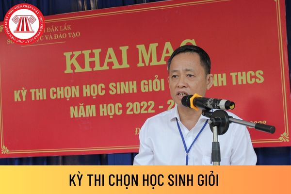 học sinh giỏi 02