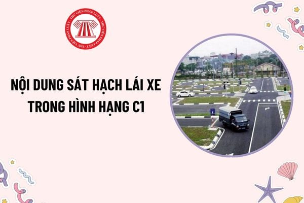 Pháp luật