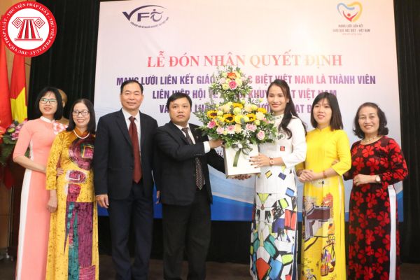 Hội viên chính thức của Liên hiệp hội về người khuyết tật Việt Nam là ...