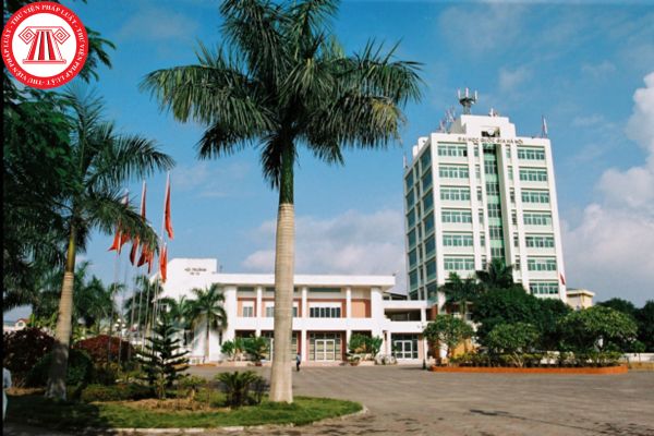 Đại học Việt Nhật