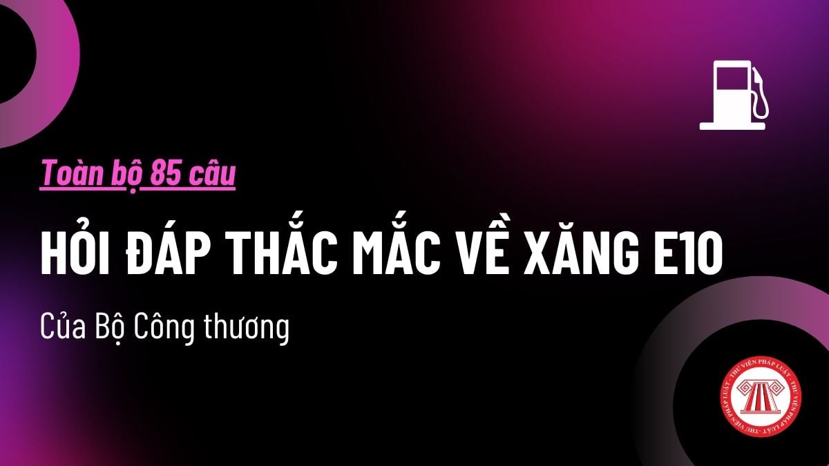 Pháp luật