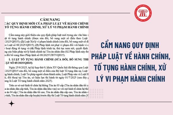 Pháp luật