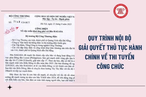 Pháp luật