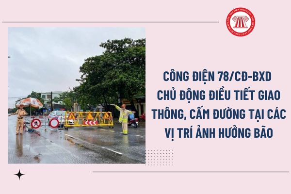 Pháp luật