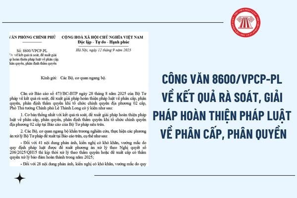 Pháp luật