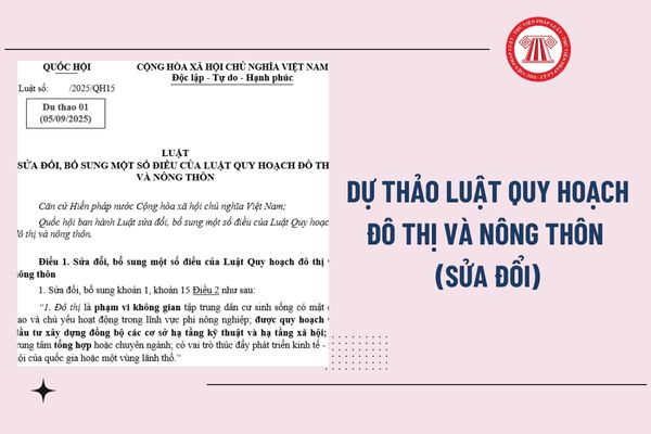 Pháp luật