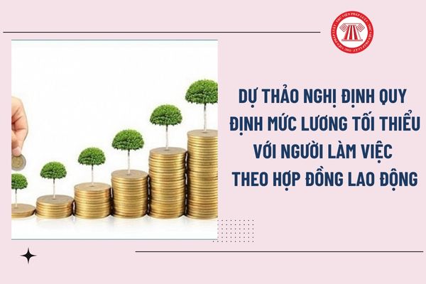 Pháp luật