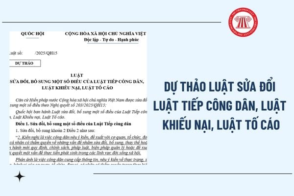 Pháp luật