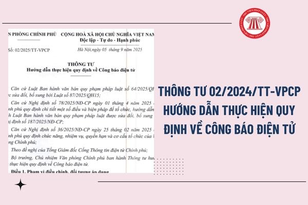 Pháp luật