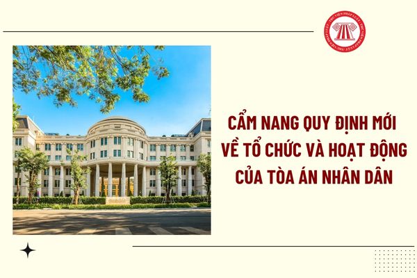 Pháp luật