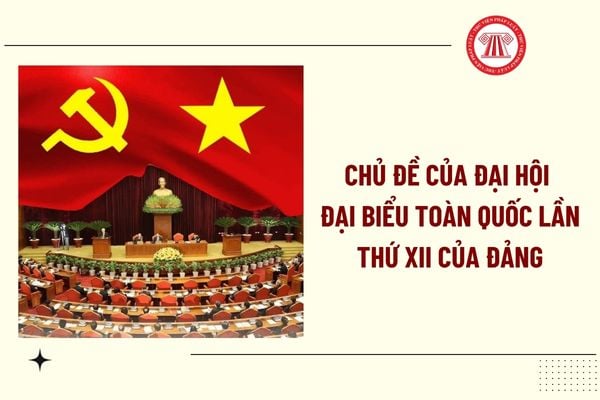 Pháp luật
