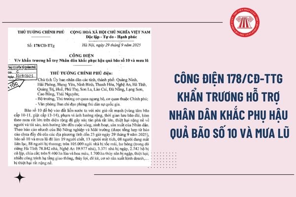 Pháp luật