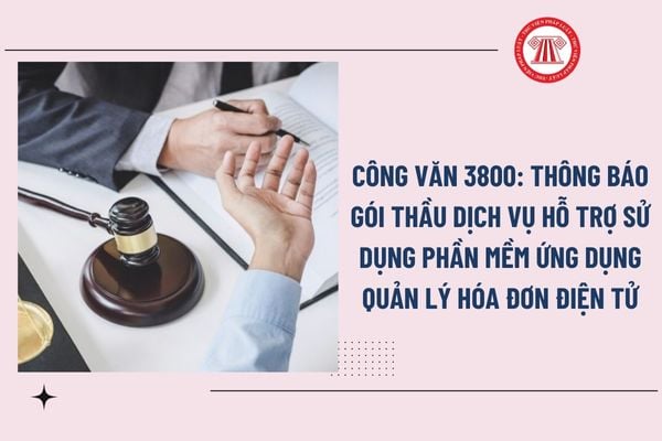 Pháp luật