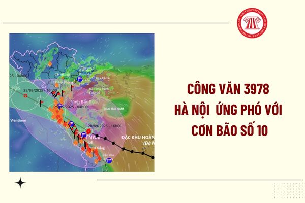 Pháp luật