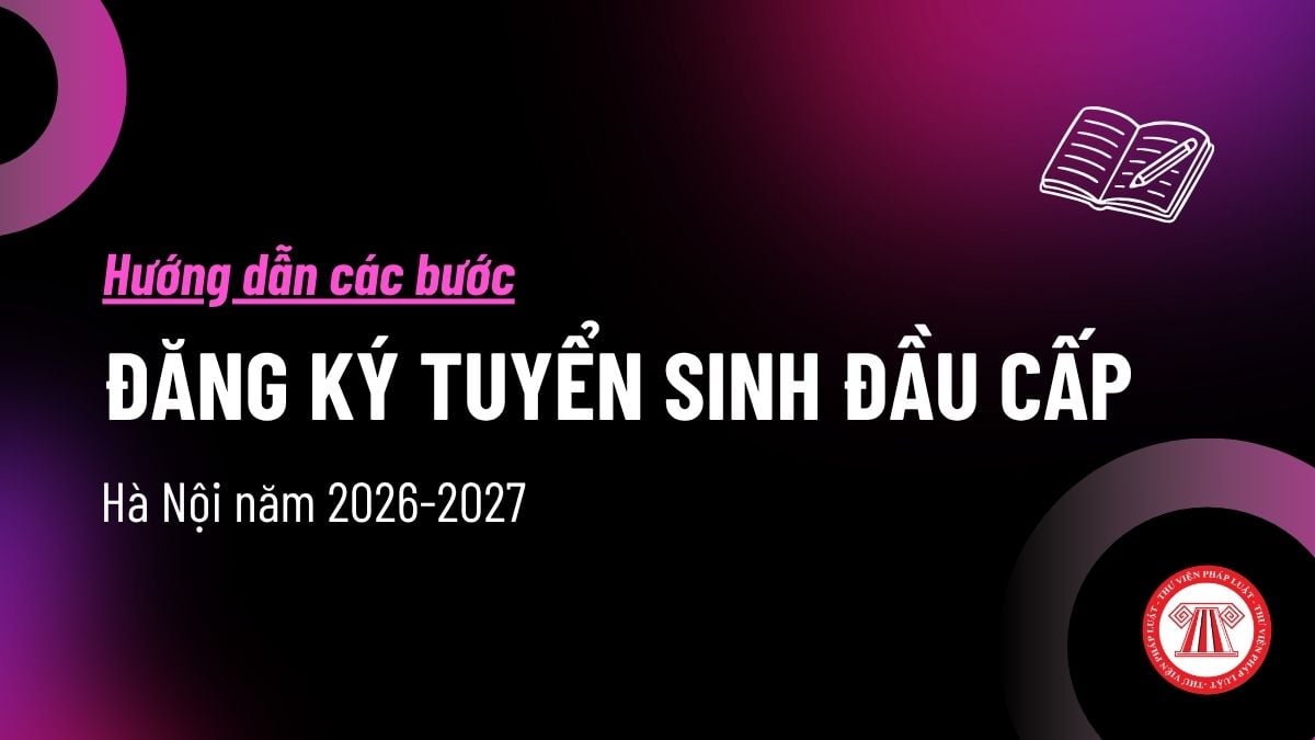 Pháp luật
