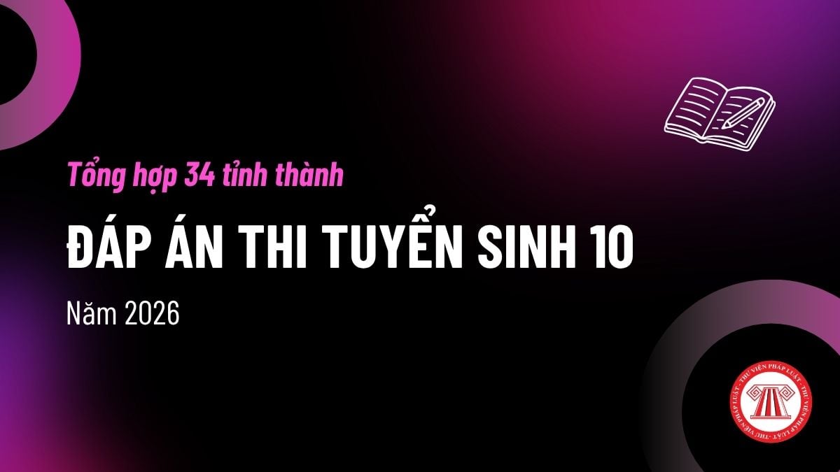 Pháp luật